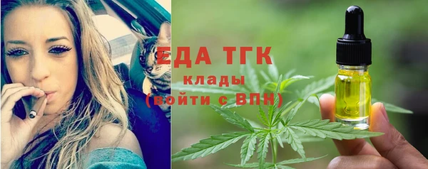 стаф Корсаков