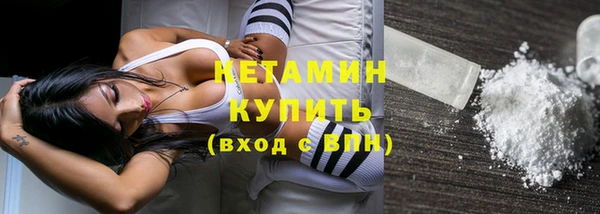 стаф Корсаков