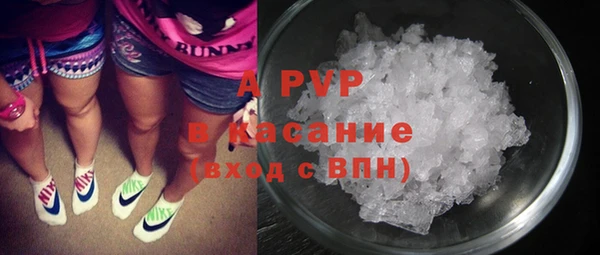 PSILOCYBIN Кулебаки