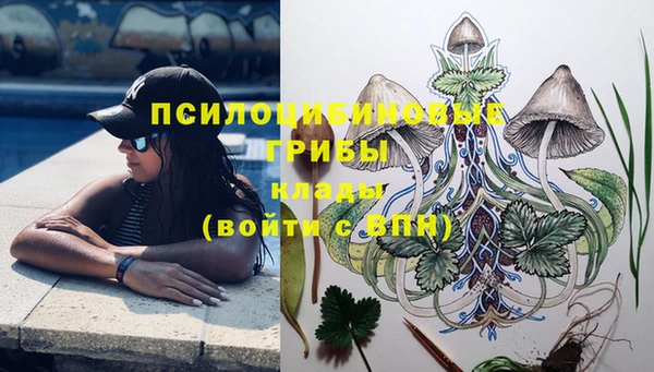 PSILOCYBIN Кулебаки