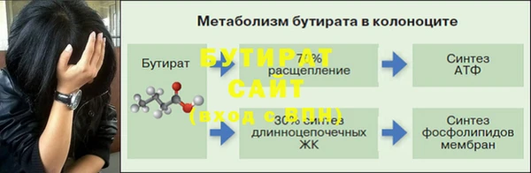 стаф Корсаков