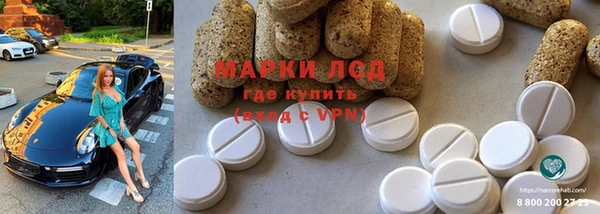 PSILOCYBIN Кулебаки